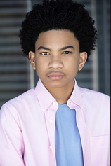 picture of actor Andre Robinson