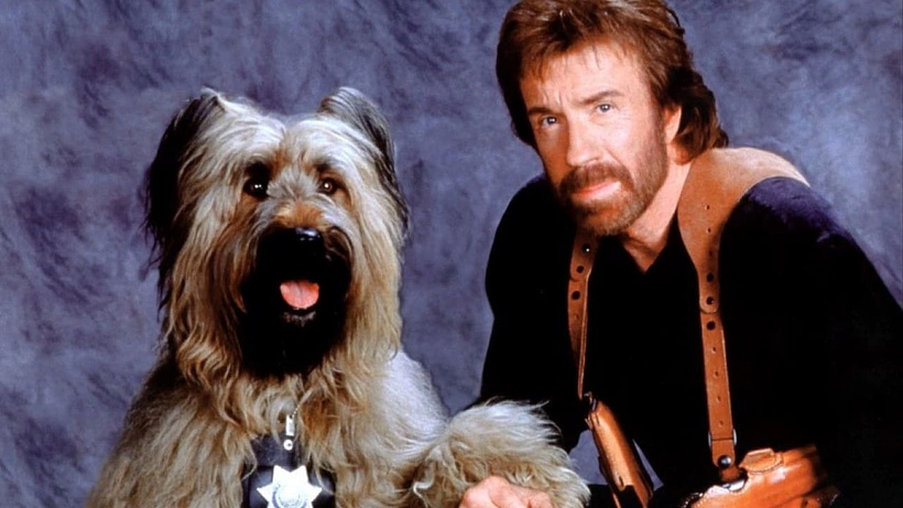 Imagen de Top Dog: El Perro Sargento