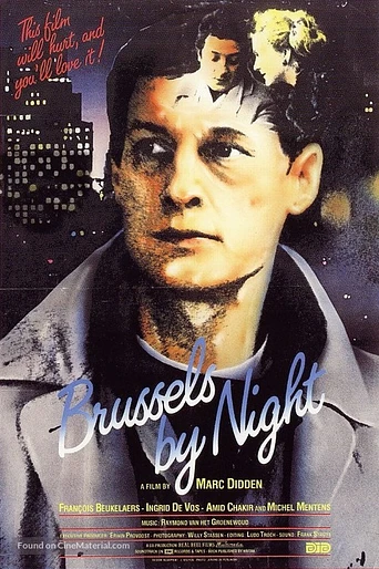 Poster de Brussels by Night