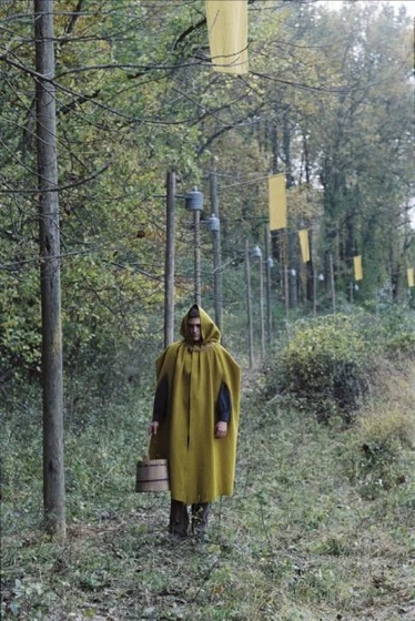 Joaquin Phoenix en el-bosque