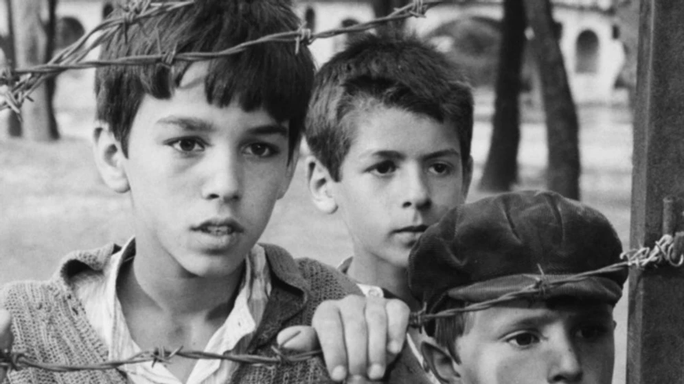 Enea Zhegu en tomka-and-his-friends