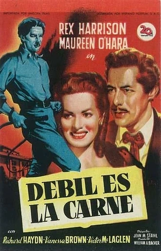Poster de Débil es la carne