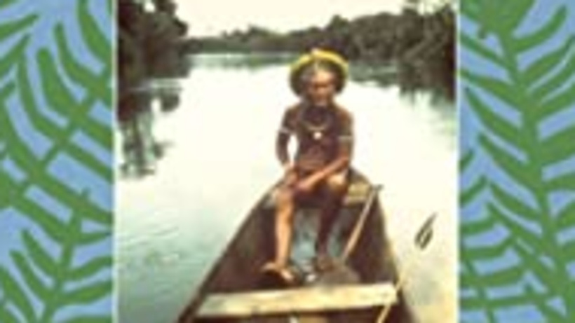 Imagen de Amazon Diary