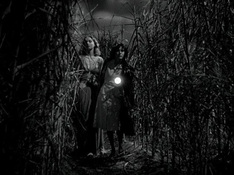 Frances Dee y Christine Gordon en yo-anduve-con-un-zombie