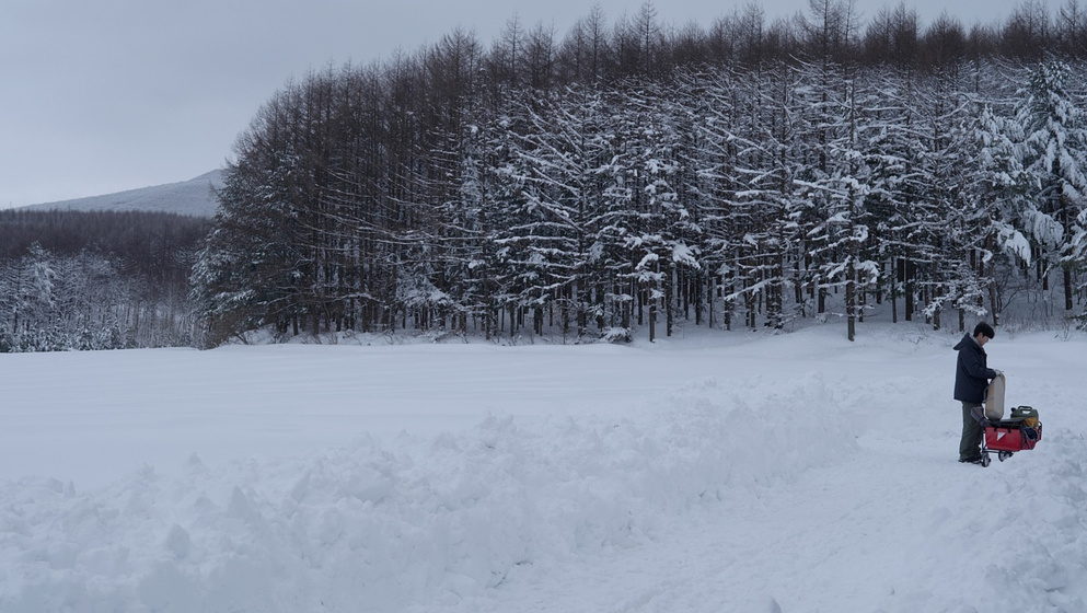 Imagen de living-through-the-same-season