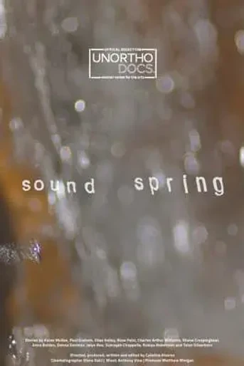 Poster de Sound Spring