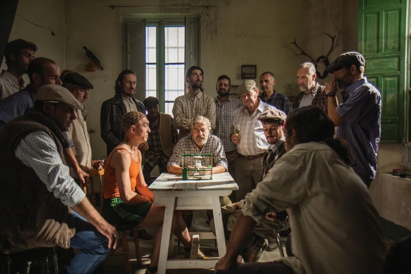 Imagen de jaulas-2018