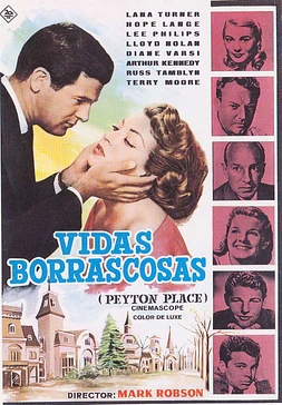 poster of movie Vidas Borrascosas
