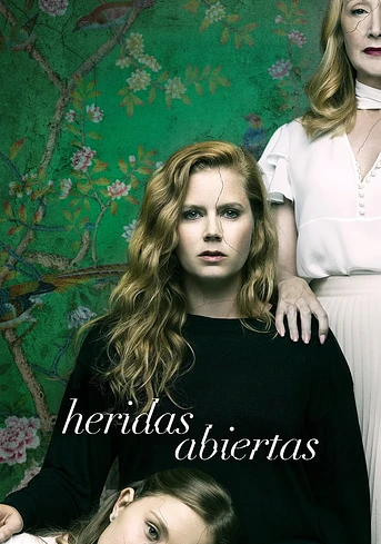 Poster de Heridas abiertas
