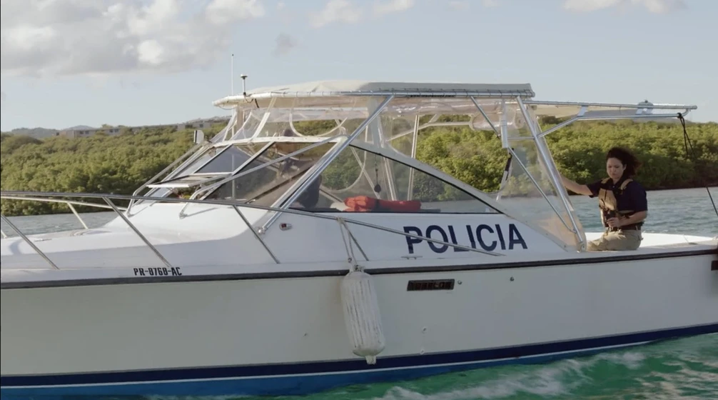 Imagen de el-ataque-del-tiburon-de-cinco-cabezas