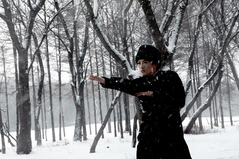 Ziyi Zhang en The Grandmaster