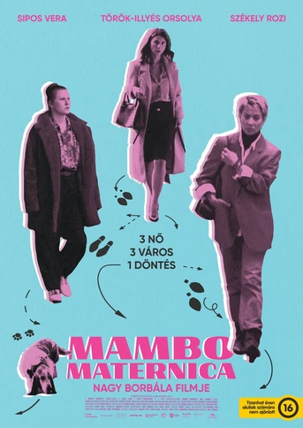 Poster de Mambo Maternica