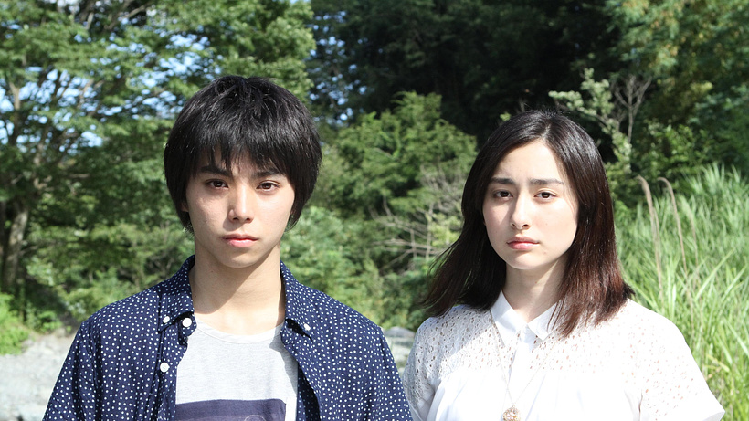 Imagen de Forget me not