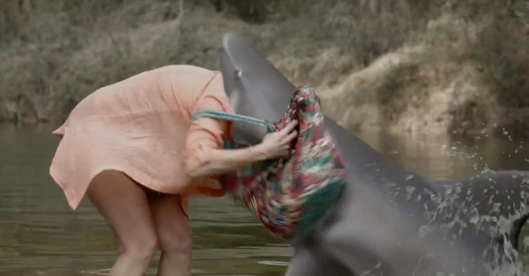 Imagen de Ozark Sharks