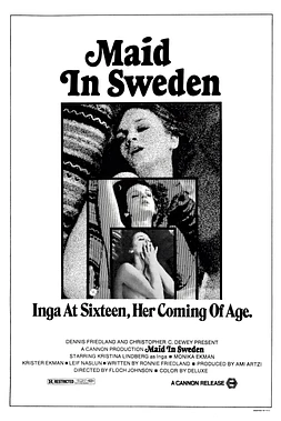 poster of movie Maid in Sweden