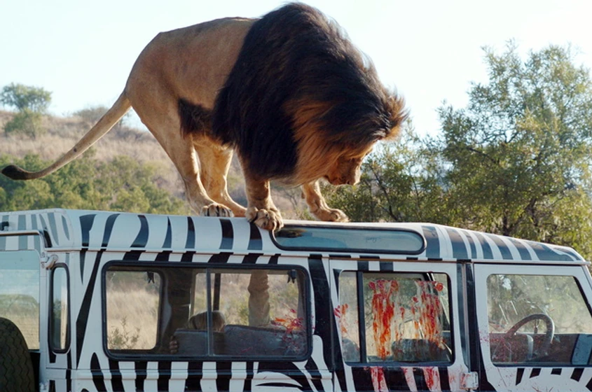 Imagen de safari-sangriento