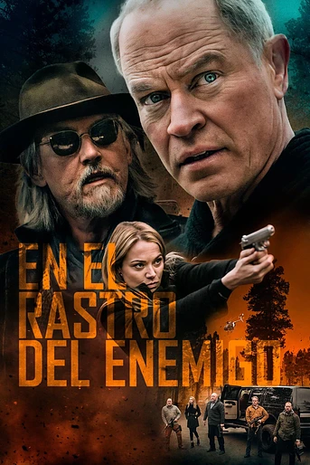 Poster de Boon: El protector