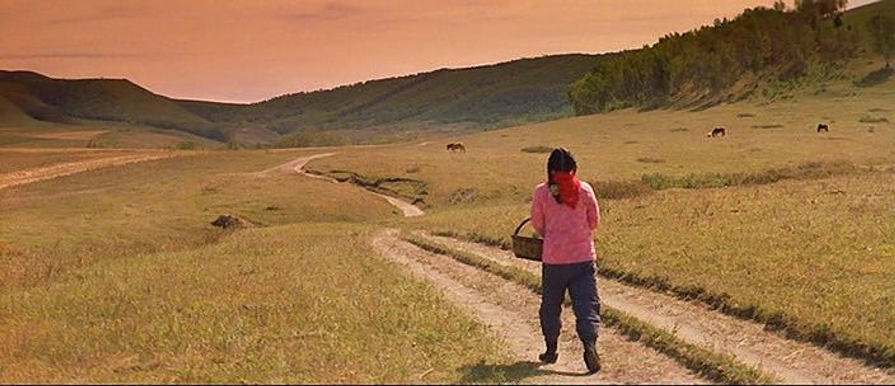 Ziyi Zhang en El Camino a Casa