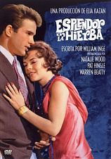 poster of movie Esplendor en la Hierba