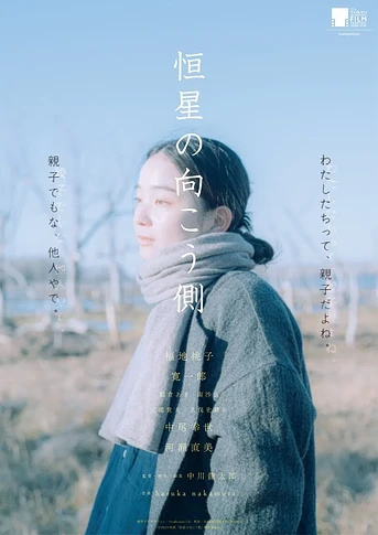 Poster de Echoes of Motherhood