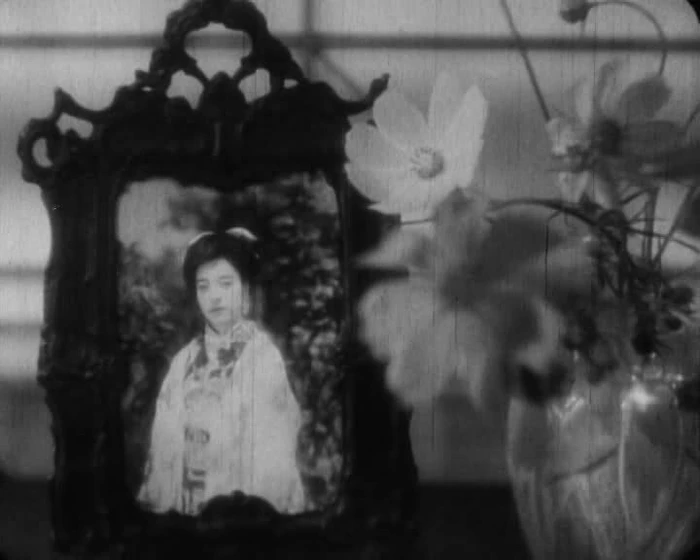Imagen de las-amapolas