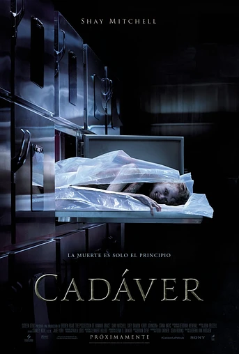 Poster de Cadáver