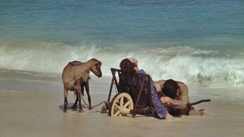 Imagen de Iré como un caballo loco