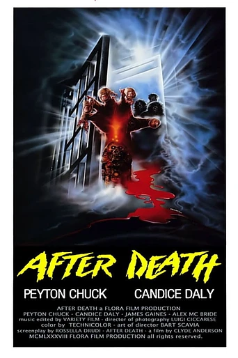 Poster de Zombie 4: After Death