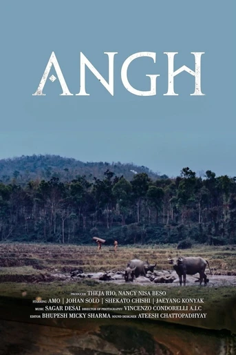 Poster de Angh