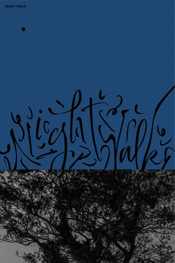 Poster de Night Walk