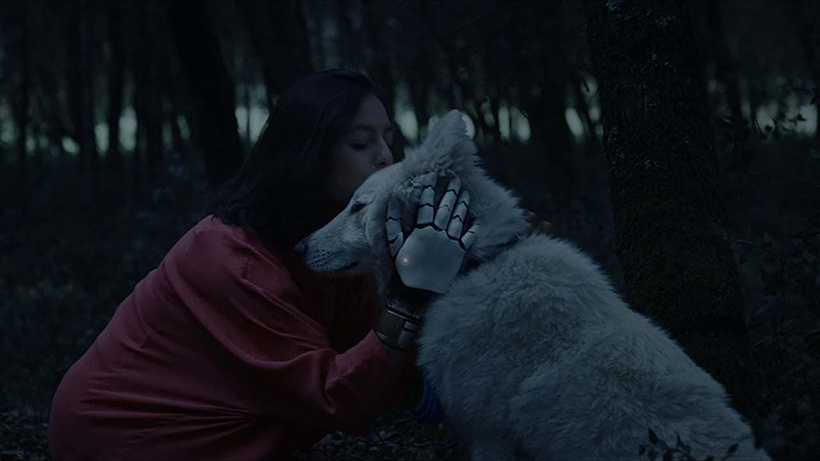 Imagen de Black Hollow Cage