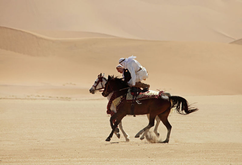 Imagen de Susurros en el Desierto