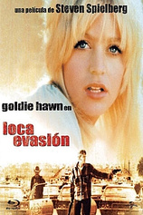 poster of movie Loca Evasión