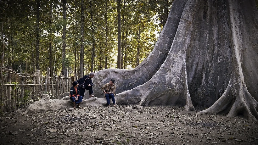 Imagen de The Guardian of Stories