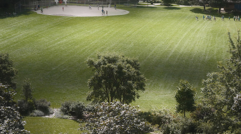 Imagen de A View from Home