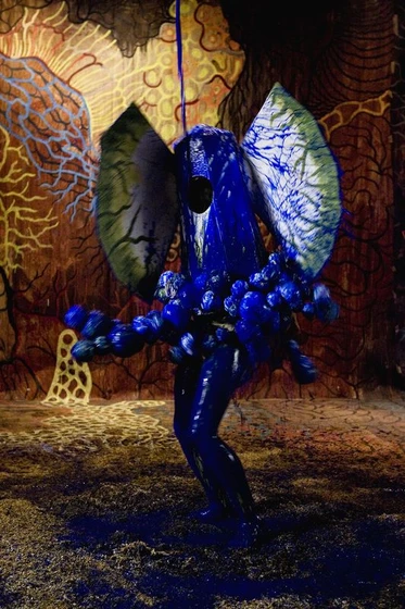 Imagen de el-peix-sebastiano