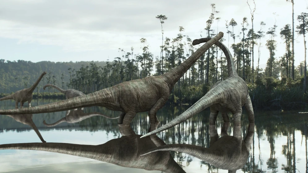 Imagen de dino-king