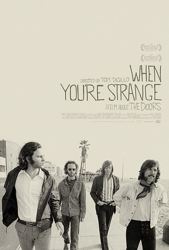 Poster de When you're strange
