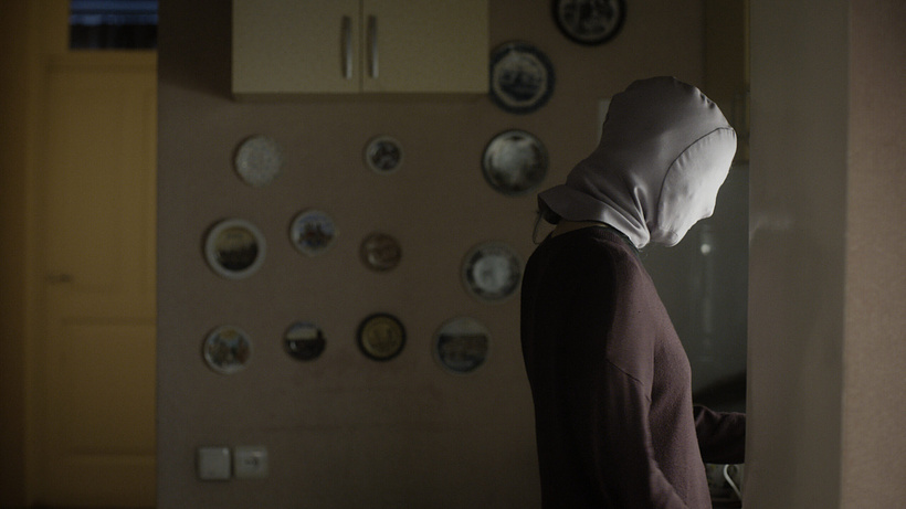 Imagen de Supporting Role