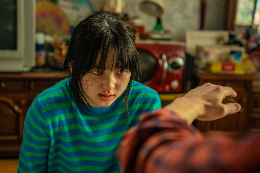 Imagen de My Daughter is a Zombie