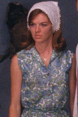 picture of actor Diane Mahree