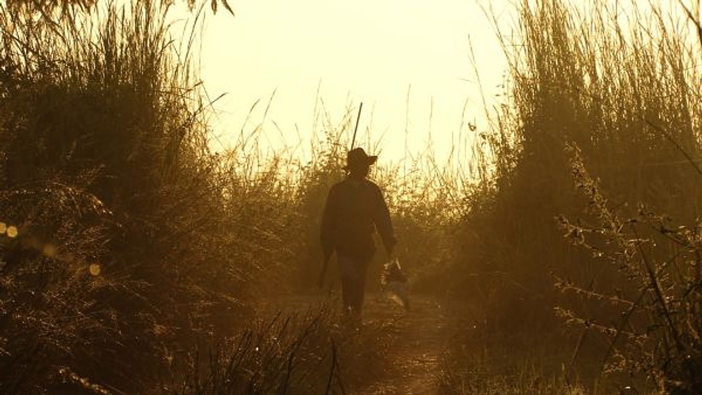 Imagen de agrarian-utopia