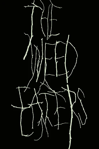 Poster de The Weed Eaters