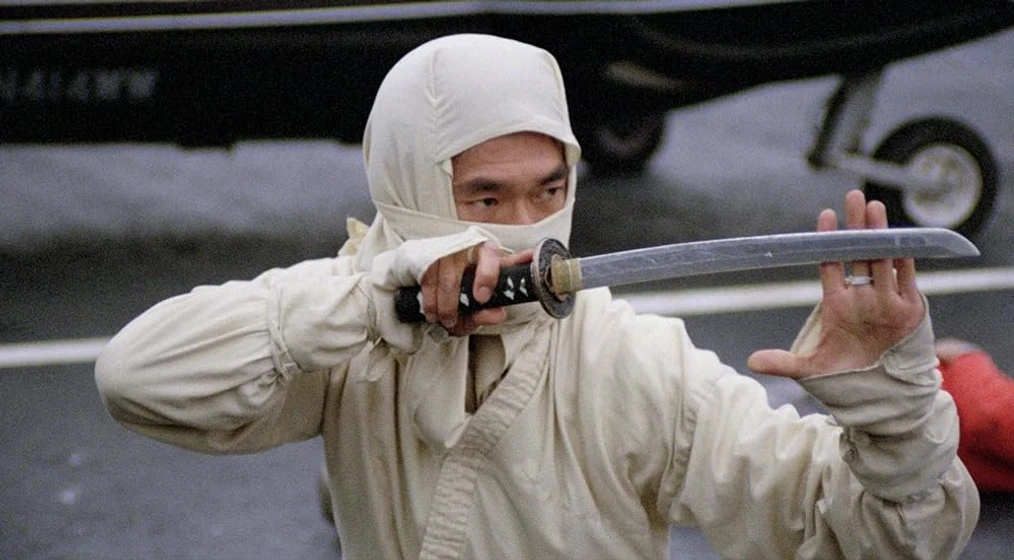 Imagen de new-york-ninja