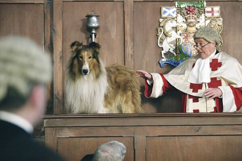 still of movie Lassie