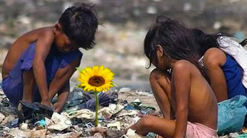Imagen de La Isla de las Flores