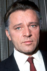 picture of actor Herbert Ellis