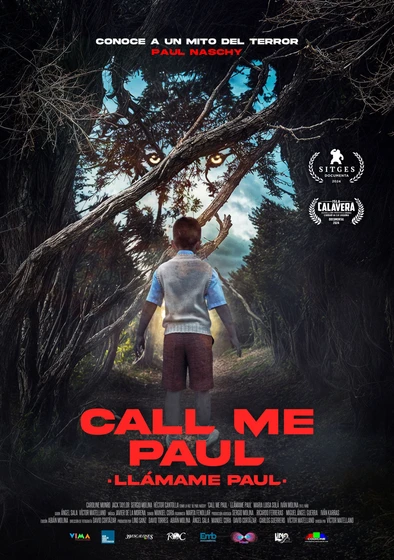 Imagen de llamame-paul (Cartel)