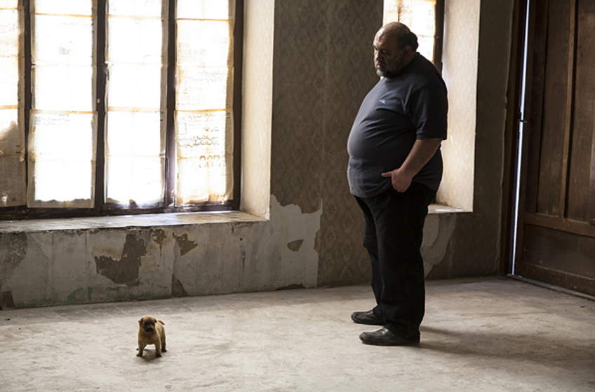 Imagen de Parviz