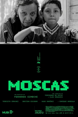 Póster de Moscas